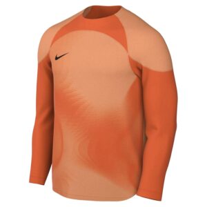 Camiseta de portero NIKE M Nk Dfadv Gardien IV para hombre