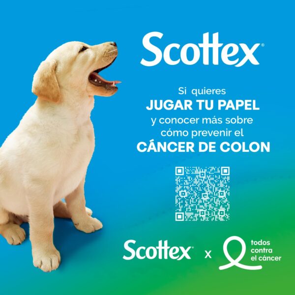 Oferta Scottex Giant Dry Toilet Paper 18 Rolls