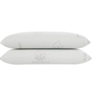 ¡Chollo! Pack de 2 Almohadas Viscoelásticas Aloe Vera