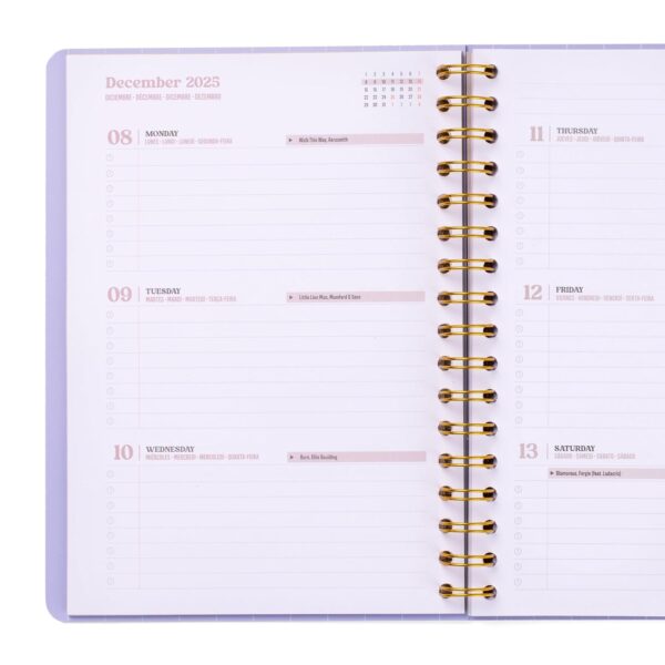 ¡Oferta! Agenda Semanal Mr. Wonderful 2025-26