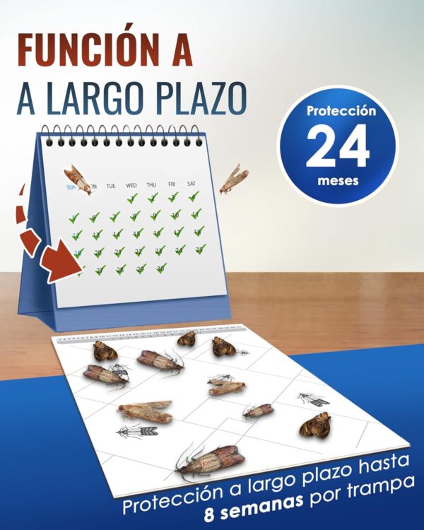 ¡Oferta! Trampas Adhesivas para Polillas de Alimentos
