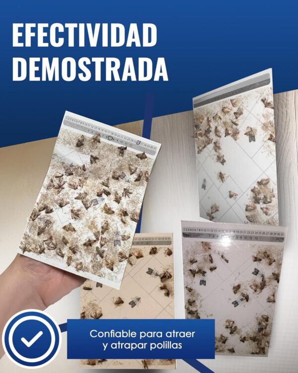 ¡Oferta! Trampas Adhesivas para Polillas de Alimentos