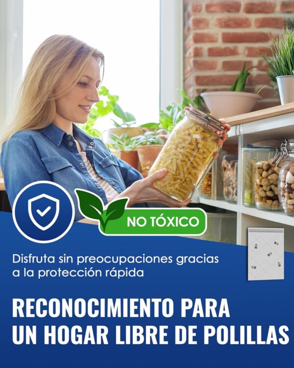¡Oferta! Trampas Adhesivas para Polillas de Alimentos