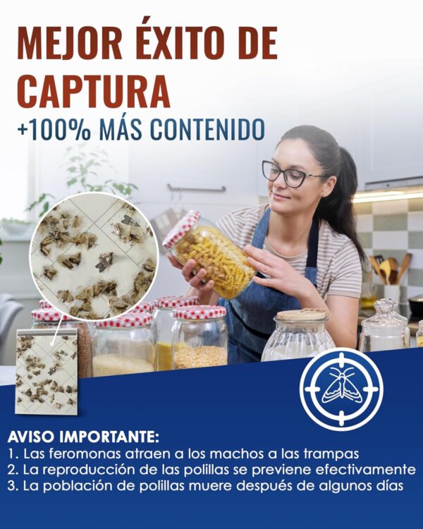 ¡Oferta! Trampas Adhesivas para Polillas de Alimentos